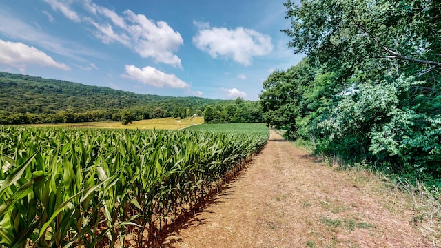 0 Oris Sain Rd, Morrison, TN 37357