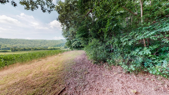 0 Oris Sain Rd, Morrison, TN 37357