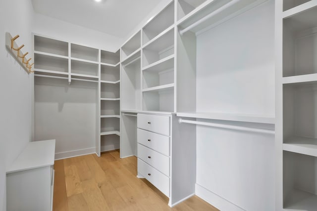 walk in closet featuring light hardwood / wood-style floors