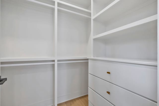 spacious closet with light wood-type flooring