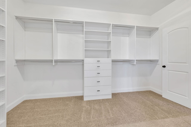 spacious closet with carpet flooring