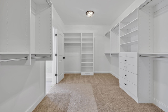 spacious closet with light carpet