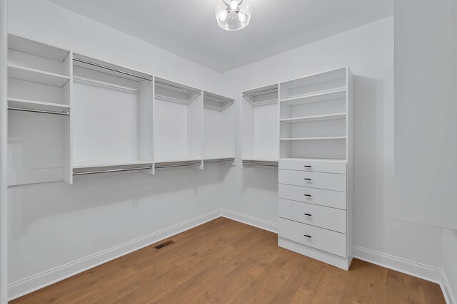 walk in closet featuring light hardwood / wood-style flooring