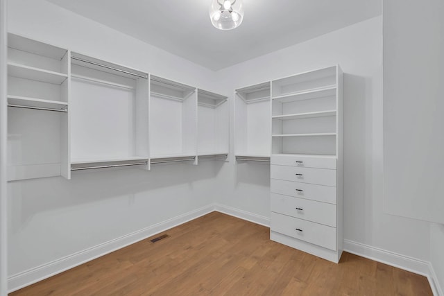 spacious closet featuring visible vents and wood finished floors