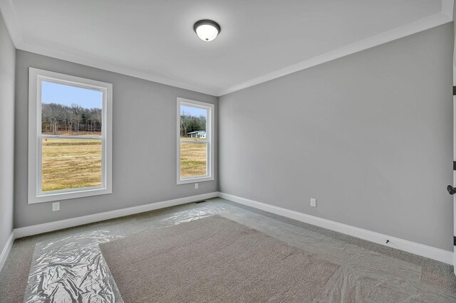 carpeted spare room with a healthy amount of sunlight and crown molding