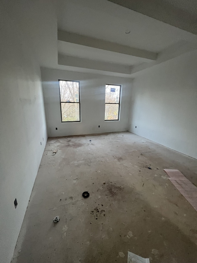 spare room with a raised ceiling