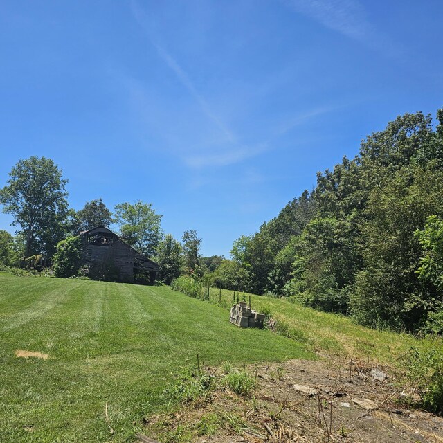 view of yard featuring a rural view