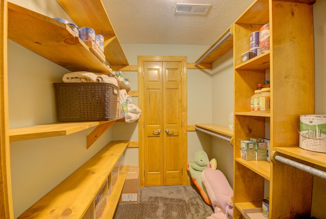 spacious closet featuring light colored carpet