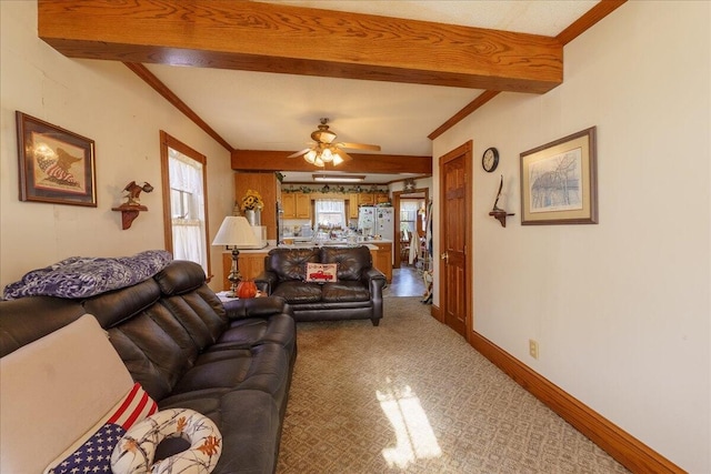 living room featuring ceiling fan, carpet floors, beamed ceiling, and crown molding