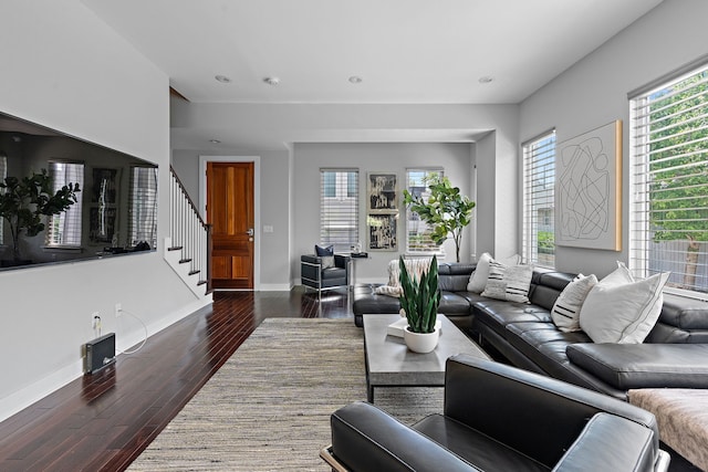 living room with dark hardwood / wood-style floors