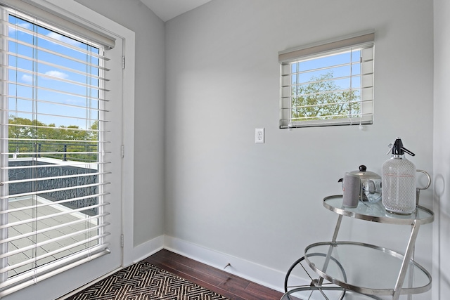 washroom with a wealth of natural light and hardwood / wood-style flooring