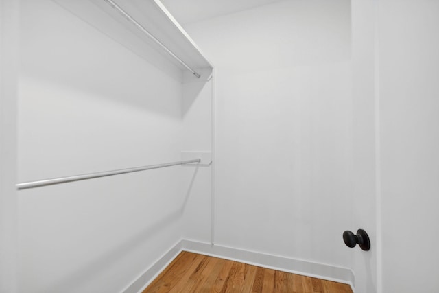 walk in closet with light wood-type flooring