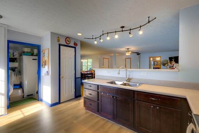 kitchen featuring a textured ceiling, light hardwood / wood-style floors, sink, rail lighting, and dark brown cabinetry