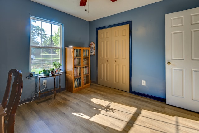 interior space featuring light hardwood / wood-style flooring, ceiling fan, and a closet