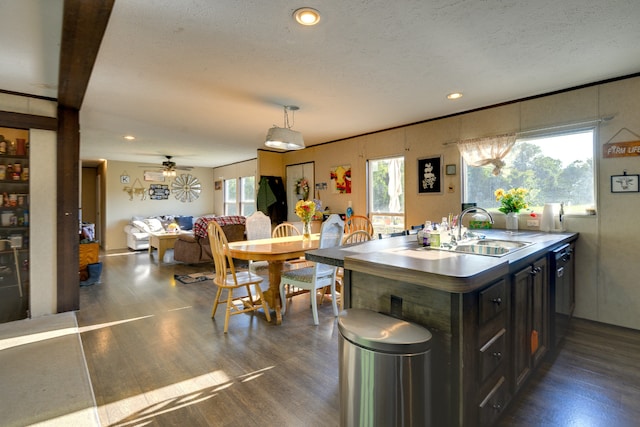 kitchen with dark wood-type flooring, a textured ceiling, sink, and ceiling fan