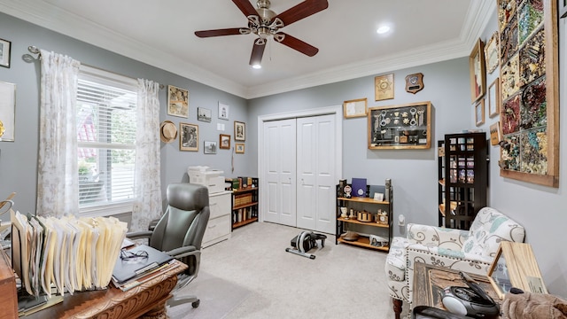 carpeted office featuring ceiling fan and crown molding