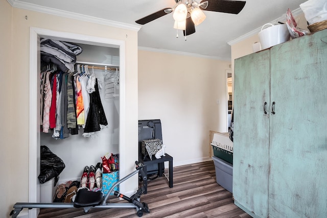 bedroom with ceiling fan, dark hardwood / wood-style floors, crown molding, and a closet