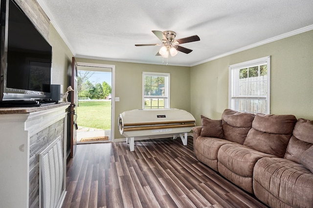 living room featuring a wealth of natural light, dark wood-type flooring, ornamental molding, and a stone fireplace