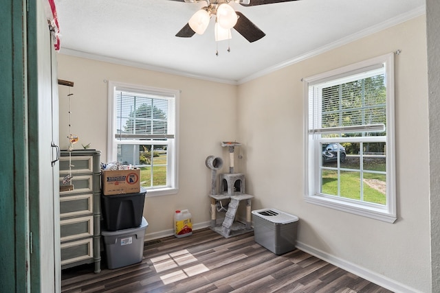 interior space with ceiling fan, a wealth of natural light, and dark hardwood / wood-style floors