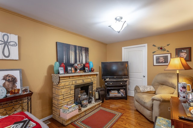 living room with hardwood / wood-style flooring and a stone fireplace