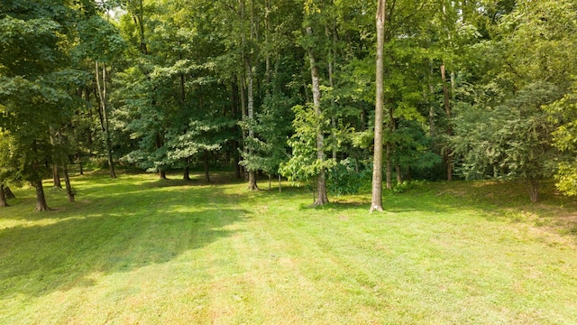 view of yard with a view of trees