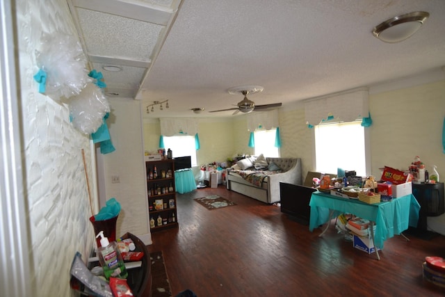 630 Marietta St, Pulaski, TN 38478 - living room featuring wood finished floors, ceiling fan, and a textured ceiling