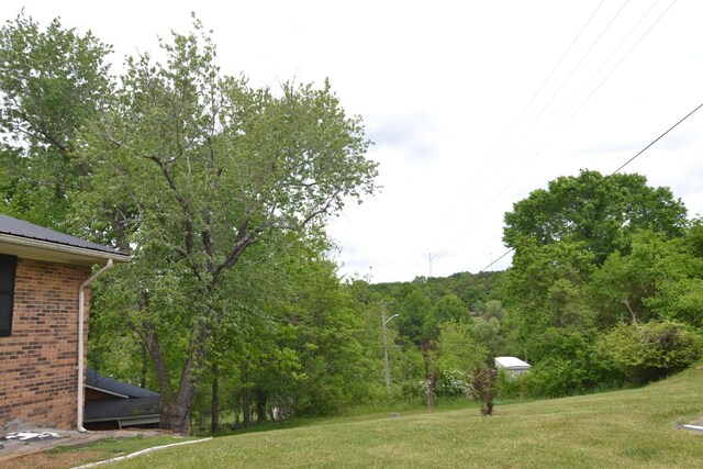 630 Marietta St, Pulaski, TN 38478 - view of green lawn