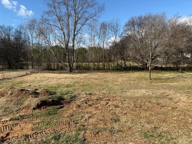 view of yard with a rural view