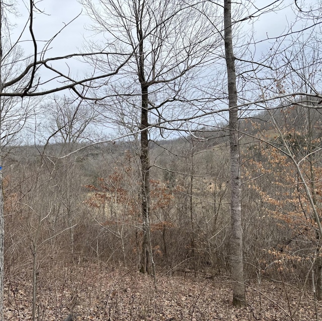 0 Cathcart Rd, Frankewing TN, 38459 land for sale