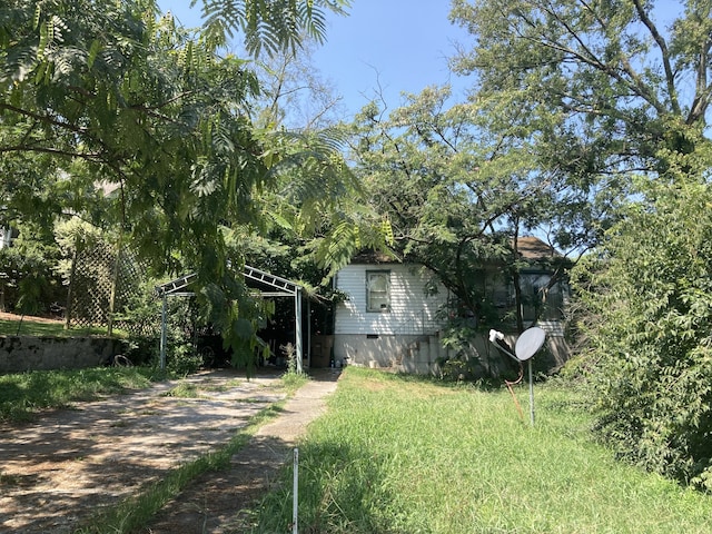 view of yard featuring a carport