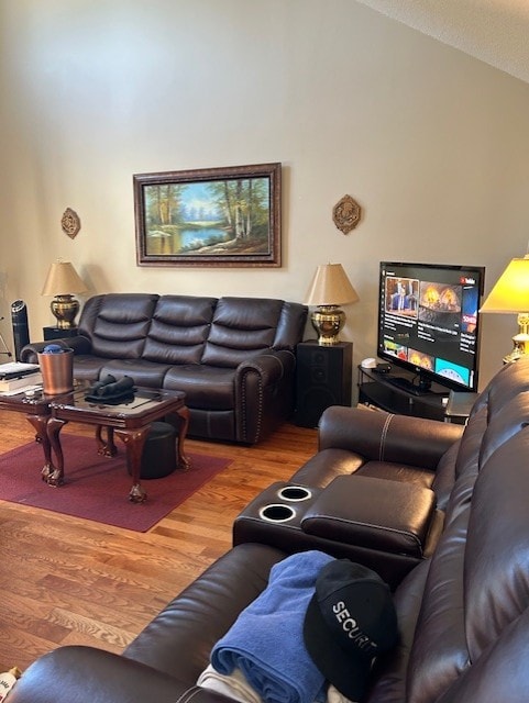 living room with hardwood / wood-style flooring