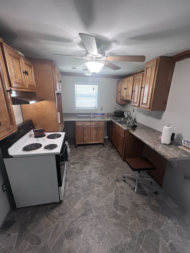 kitchen featuring ceiling fan, sink, electric stove, and dark tile patterned floors