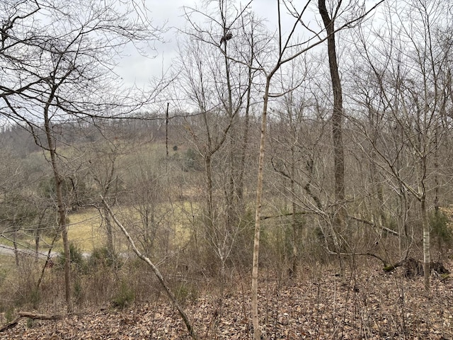 Listing photo 2 for 0 Cathcart Rd, Frankewing TN 38459