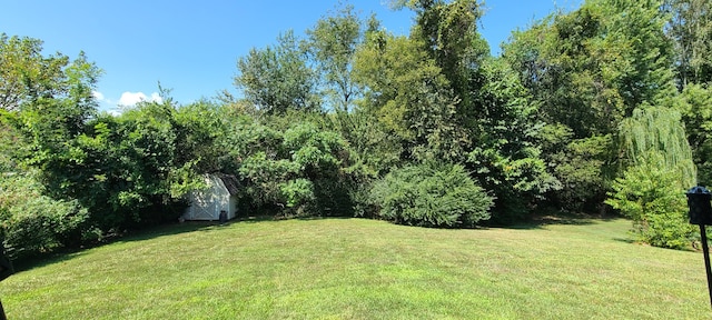 view of yard featuring a storage shed