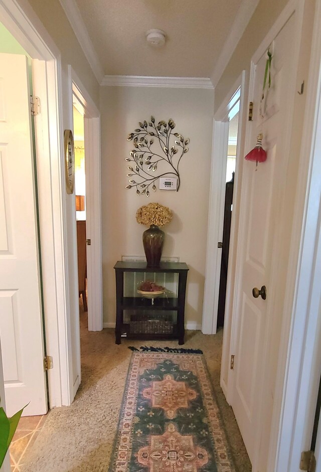 hall with crown molding and light colored carpet