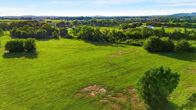 5 Smiley Rd, Chapel Hill, TN 37034