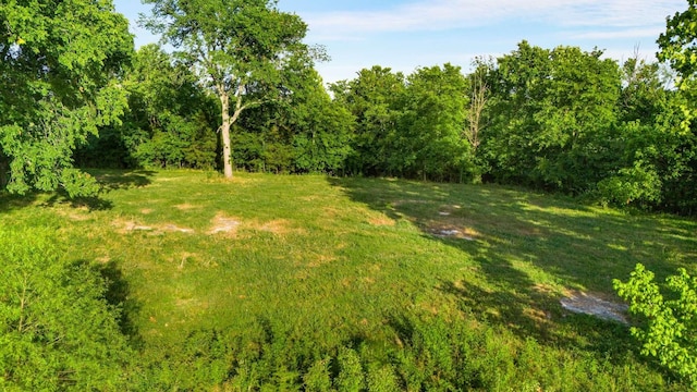 5 Smiley Rd, Chapel Hill, TN 37034