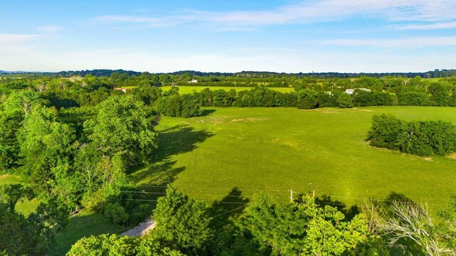 5 Smiley Rd, Chapel Hill, TN 37034