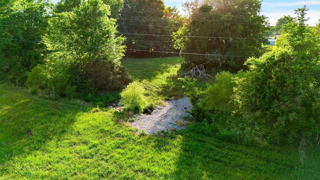 5 Smiley Rd, Chapel Hill, TN 37034