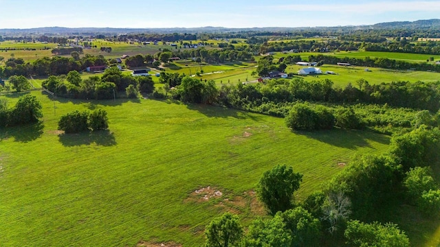 5 Smiley Rd, Chapel Hill, TN 37034