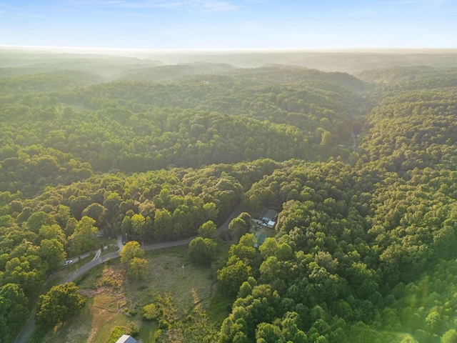 0 Skelley Rd, Santa Fe, TN 38482 - photo 32