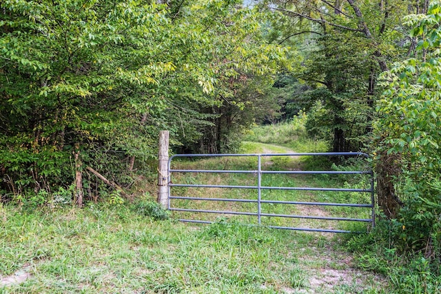 0 Skelley Rd, Santa Fe, TN 38482 - photo 15