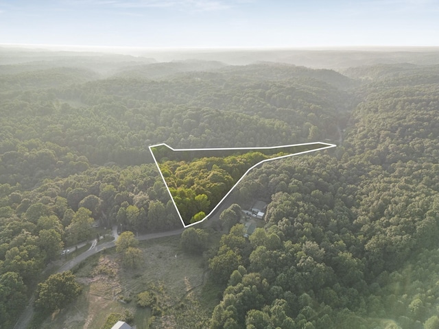 0 Skelley Rd, Santa Fe, TN 38482 - photo 23