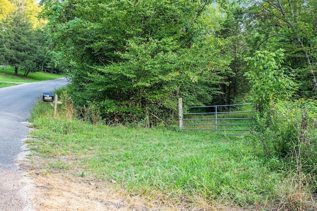 0 Skelley Rd, Santa Fe, TN 38482 - photo 13