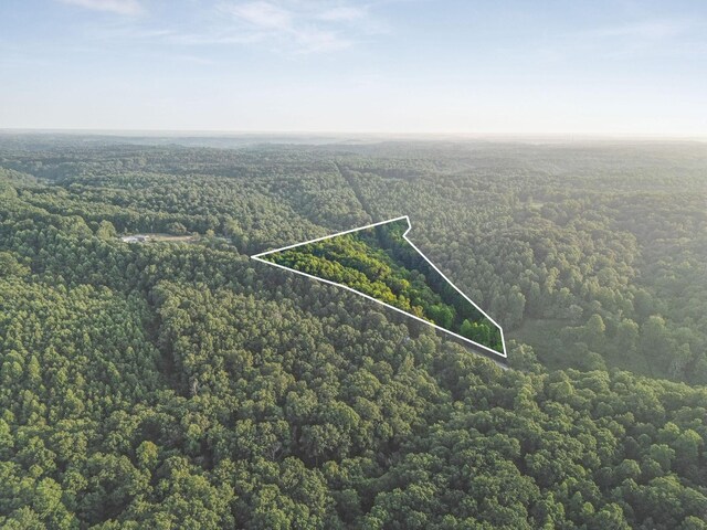 0 Skelley Rd, Santa Fe, TN 38482 - photo 28