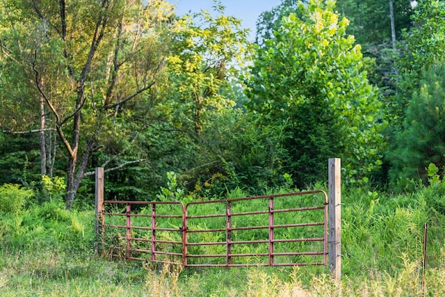 0 Skelley Rd, Santa Fe, TN 38482 - photo 6