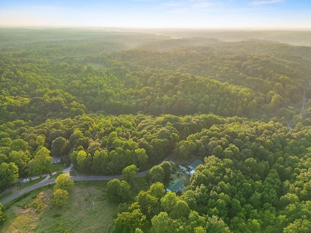 0 Skelley Rd, Santa Fe, TN 38482 - photo 36