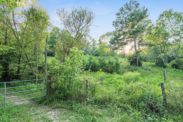 0 Skelley Rd, Santa Fe, TN 38482 - photo 17