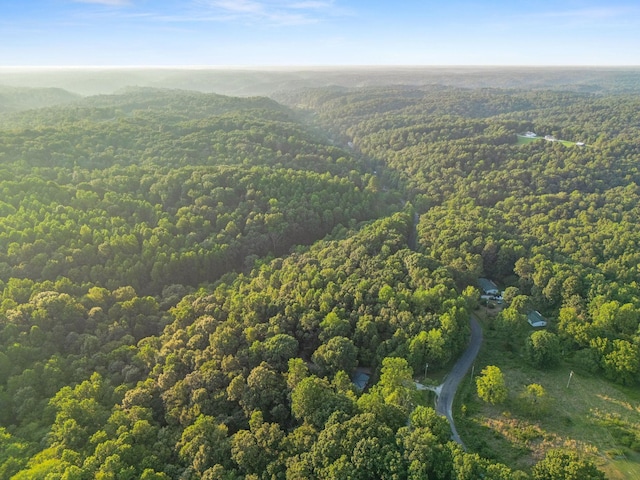 0 Skelley Rd, Santa Fe, TN 38482 - photo 30