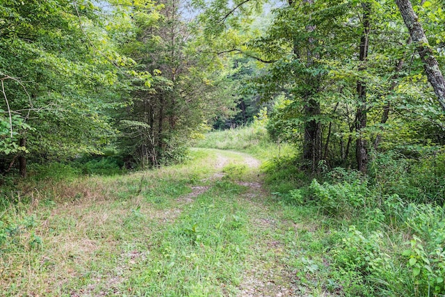 0 Skelley Rd, Santa Fe, TN 38482 - photo 16